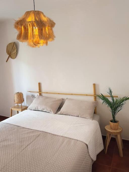 Apartamento Casa Bamboo Corralejo, Espacioso, Piscina Y Parking Exterior foto
