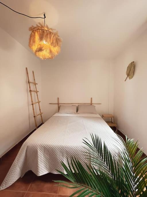 Apartamento Casa Bamboo Corralejo, Espacioso, Piscina Y Parking Exterior foto