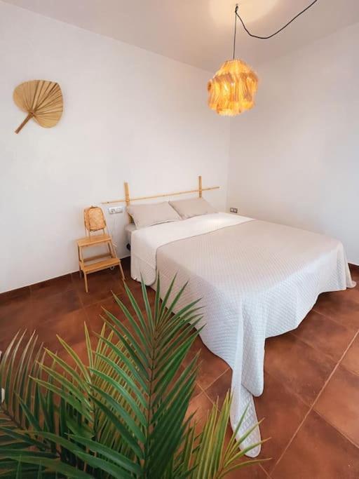 Apartamento Casa Bamboo Corralejo, Espacioso, Piscina Y Parking Exterior foto
